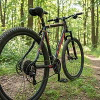 Bici mtb