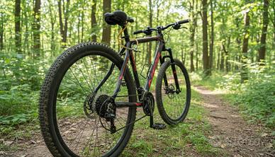 Bici mtb