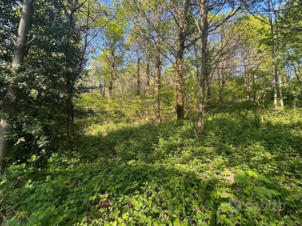 Terreno di 3310 m² a Galbiate - Vista 3