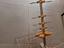 Immagine 2