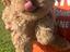 Immagine 2