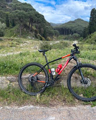 Bicicletta