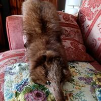 Martora in vera pelliccia 