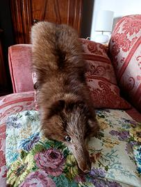 Martora in vera pelliccia 