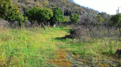 Terreno agricolo a Palma Campania