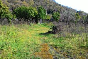 Terreno agricolo a Palma Campania