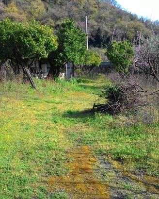 Terreno agricolo a Palma Campania