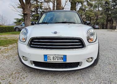 Mini Countryman business 4x4