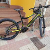 Bici pedalata assistita