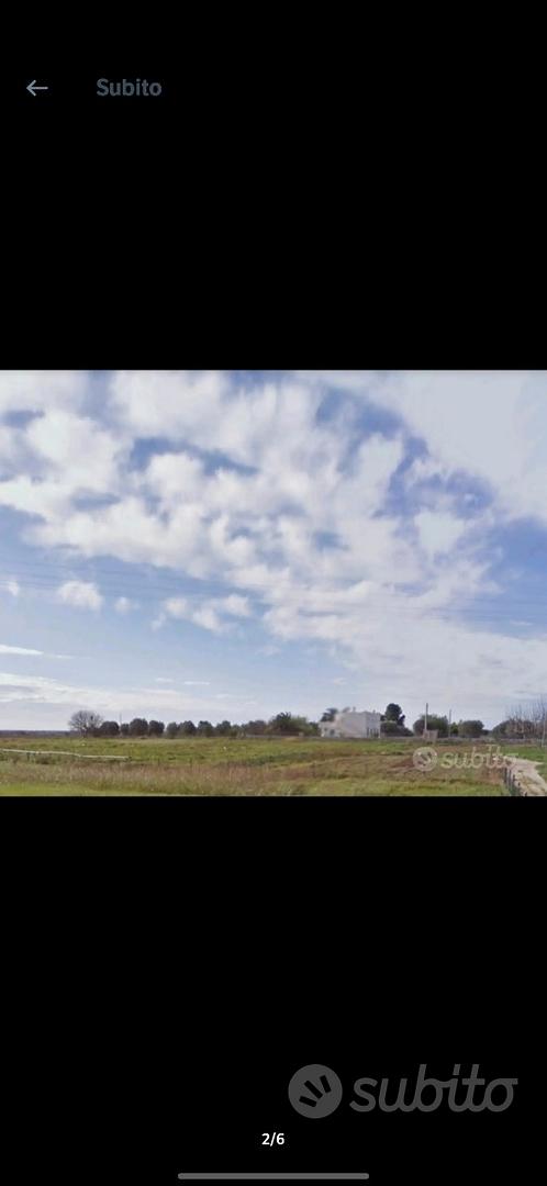Terreno Agricolo Galatone 8000 m² - View 2