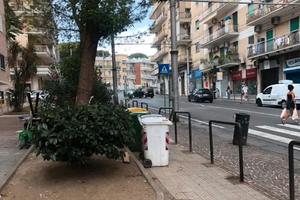 Colli aminei via bosco di Capodimonte