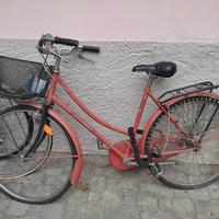 bicicletta zecchini da sistemare