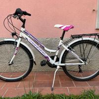 Bicicletta da ragazzo