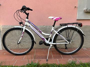 Bicicletta da ragazzo