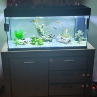 Acquario Juwel 180 L