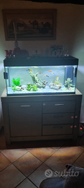 Acquario Juwel 180 L