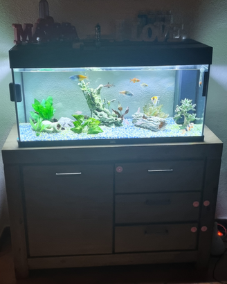 Acquario Juwel 180 L