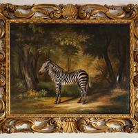 Zebra – Olio su tela con cornice fiorentina