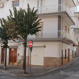 Appartamento - San Nicandro garganico