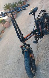 bici elettrica 250