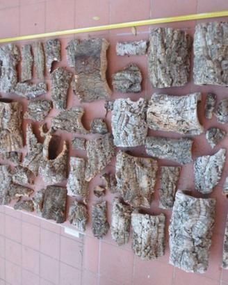 CORTECCIA SUGHERO NATURALE NON TRATTATA X BRICOLAG