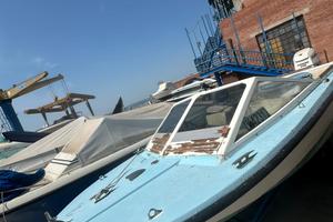 Coronet 17 con Johnson 115hp fuoribordo