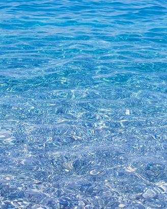 Mare