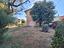 Immagine 25