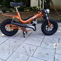 Mba 50 1977