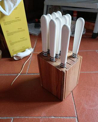 10 coltelli in acciaio inox con ceppo