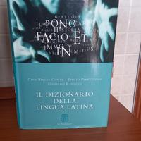 Dizionario di Latino - Conte, Pianezzola, Raucci