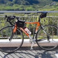 bici da corsa Wilier Gladio