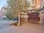 Immagine 26