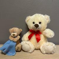 2 Peluche Orsetti Bambini