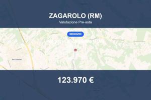 Immobile in asta di 150 m² a Zagarolo