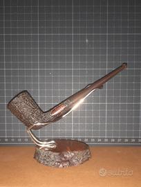 Pipa Prince of Wales