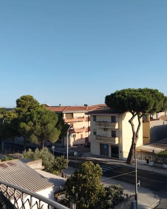 Trilocale buone condizioni ultimo piano
