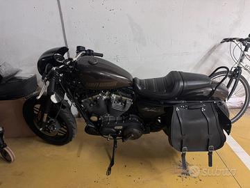 Harley davidson 1200 roadster