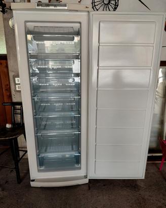 freezer a cassettoni Aeg