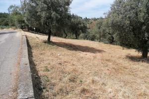 Terreno agricolo con possible costruzione