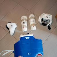 protezioni taekwondo 