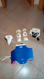 protezioni taekwondo 