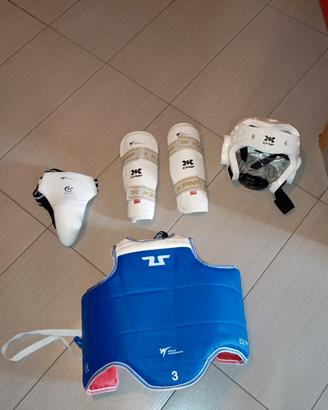 protezioni taekwondo 