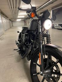 Harley 883 iron
