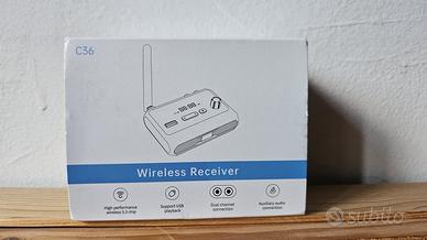 Ricevitore Wireless 5.3 per Home Stereo