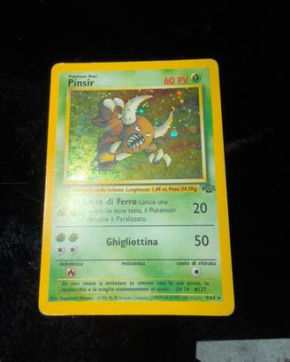 Pinsir holo jungle carta pokemon