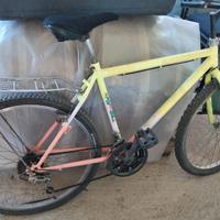 Mountain bike anni 2000