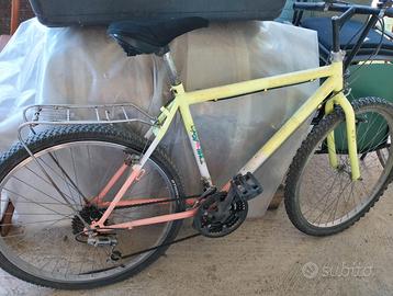 Mountain bike anni 2000
