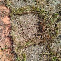 Piastrelle da giardino