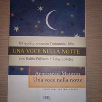Una voce nella notte, Armistead Maupin